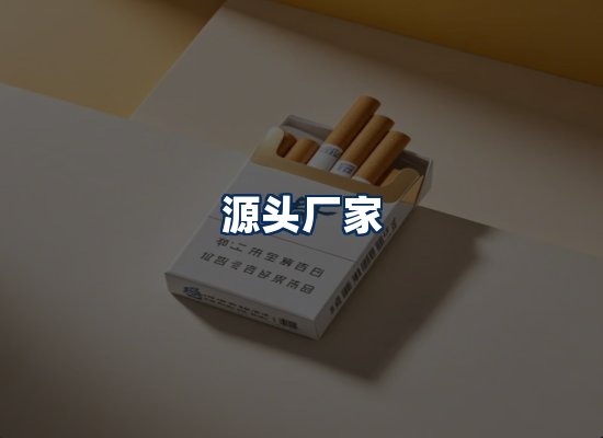 专业团队办公环境